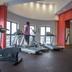 Palestra