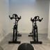 Palestra