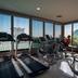 Palestra