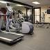 Palestra