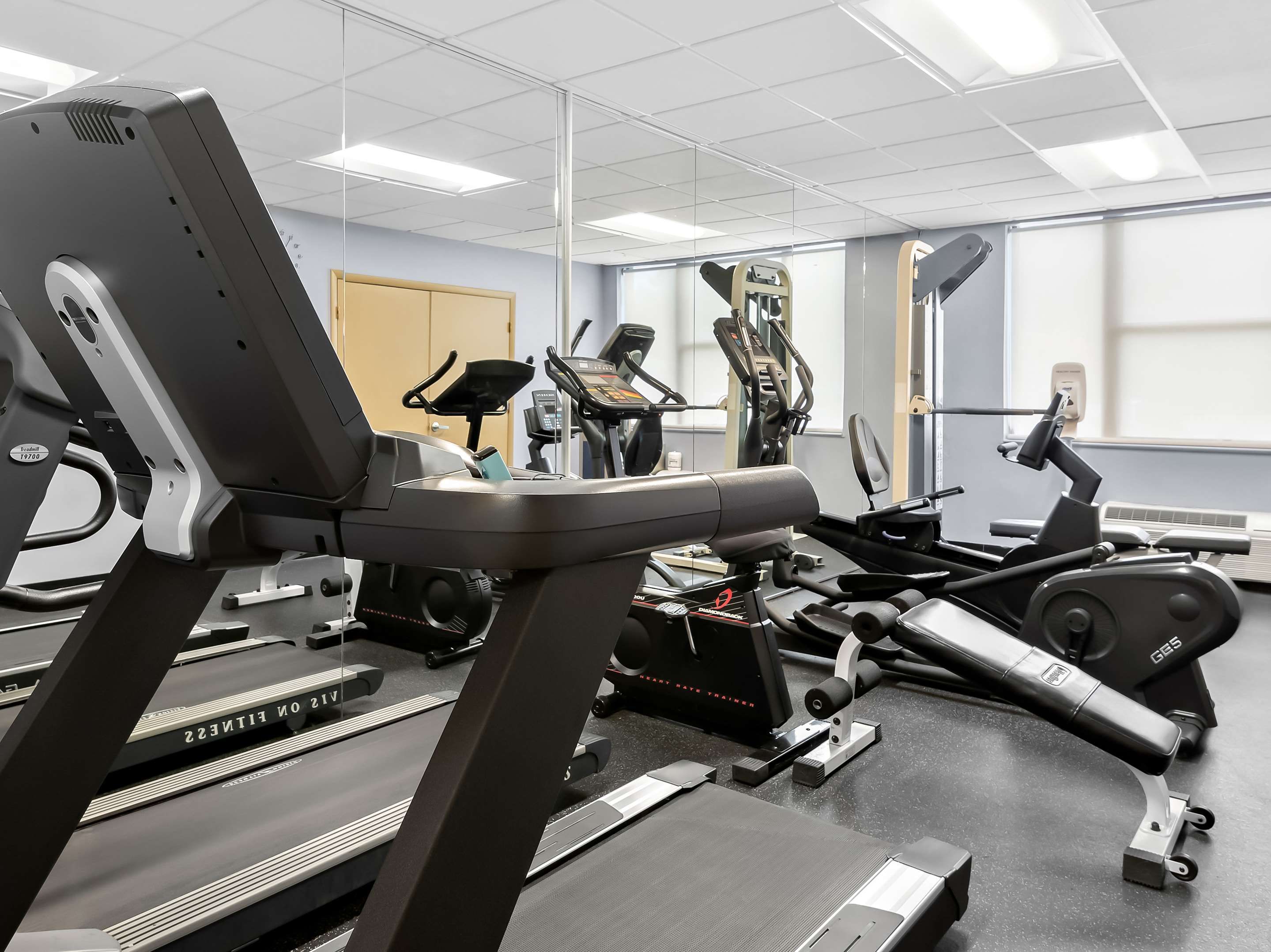 Palestra