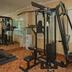 Palestra