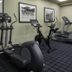 Palestra