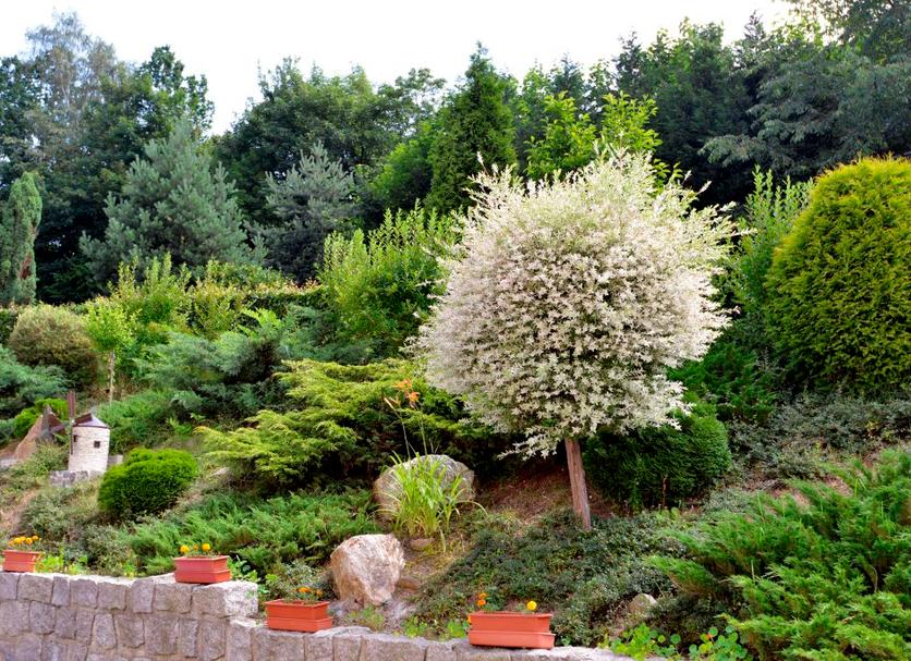 Vista esterna Foto