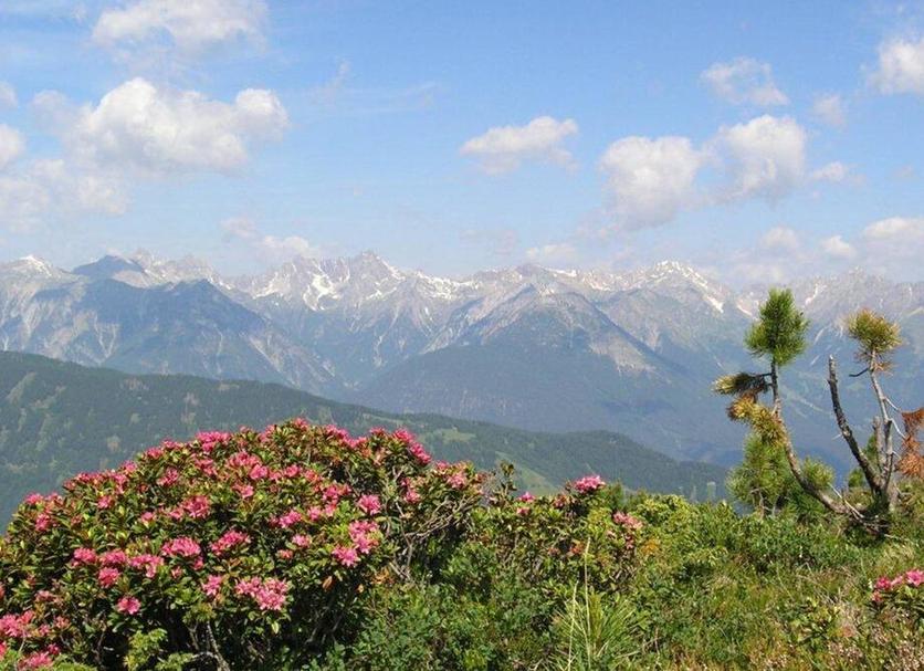 Vista esterna Foto