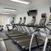 Palestra