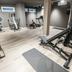 Palestra
