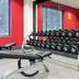 Palestra