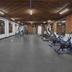Palestra