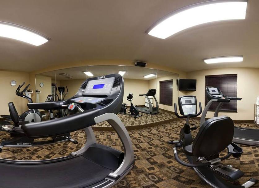 Palestra Foto