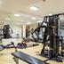 Palestra