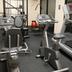 Palestra