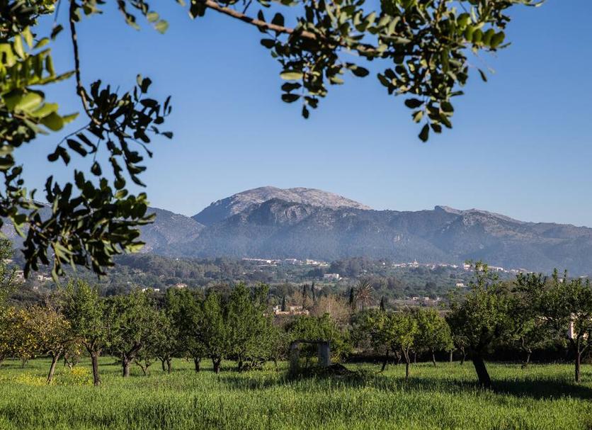 Vista esterna Foto