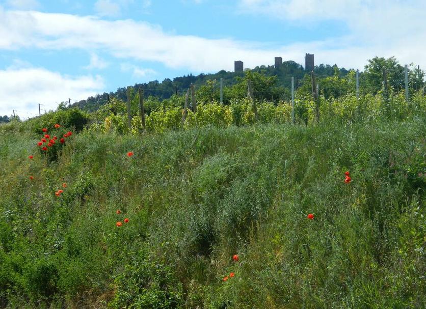 Vista esterna Foto