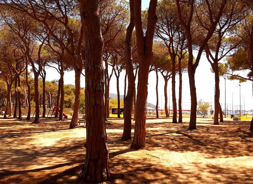 Vista esterna Foto