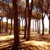 Vista esterna