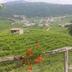 Vista esterna