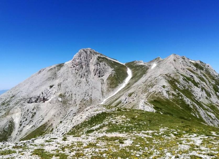 Altro Foto