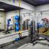 Palestra