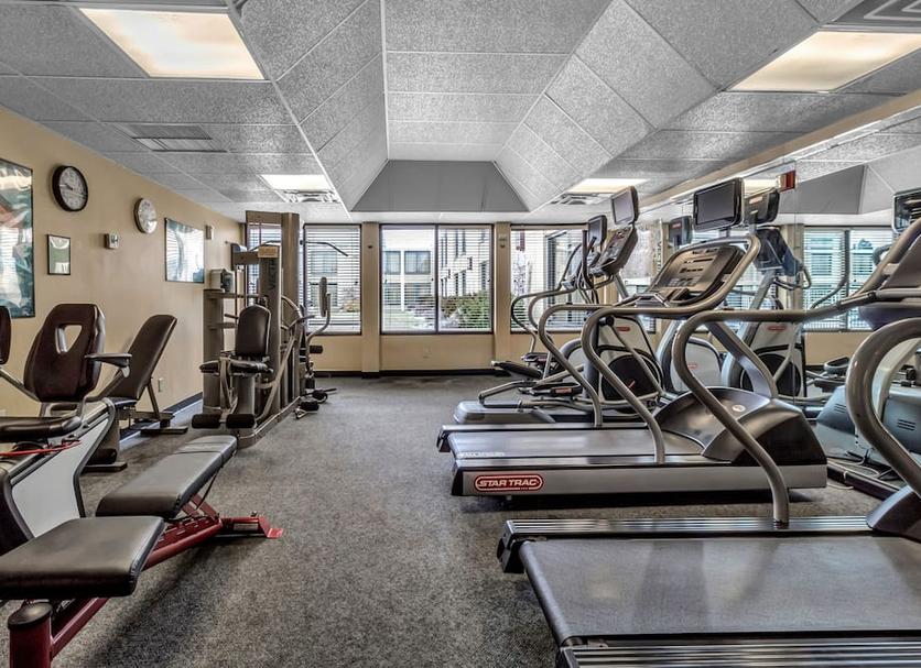 Palestra Foto
