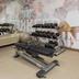 Palestra