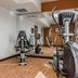 Palestra