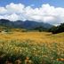 Vista esterna