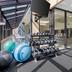 Palestra