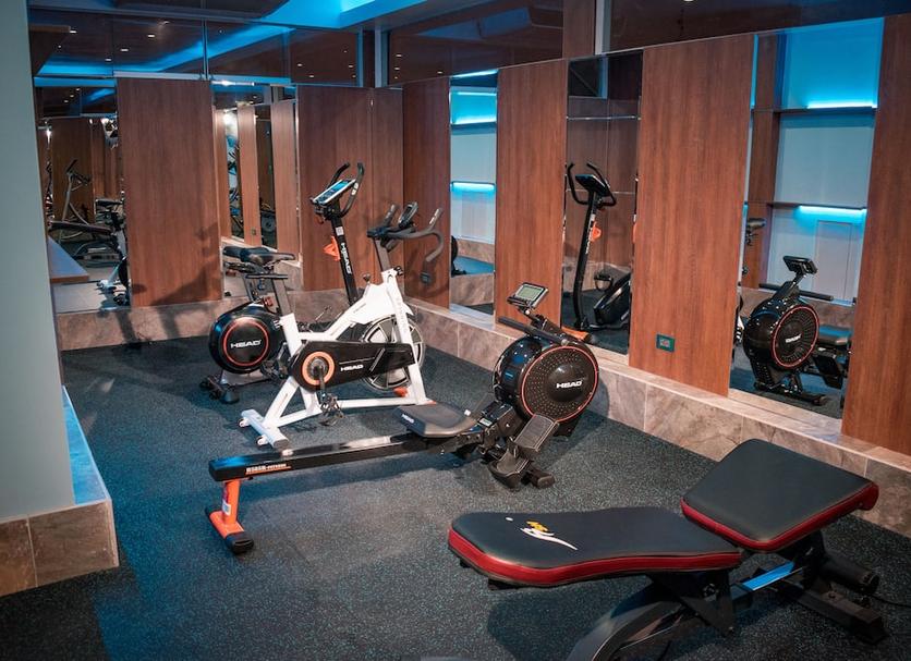 Palestra Foto