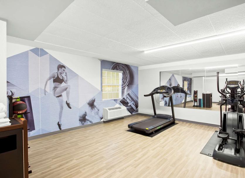 Palestra Foto