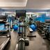Palestra