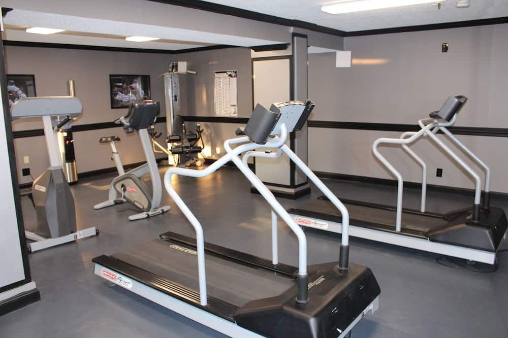 Palestra Foto