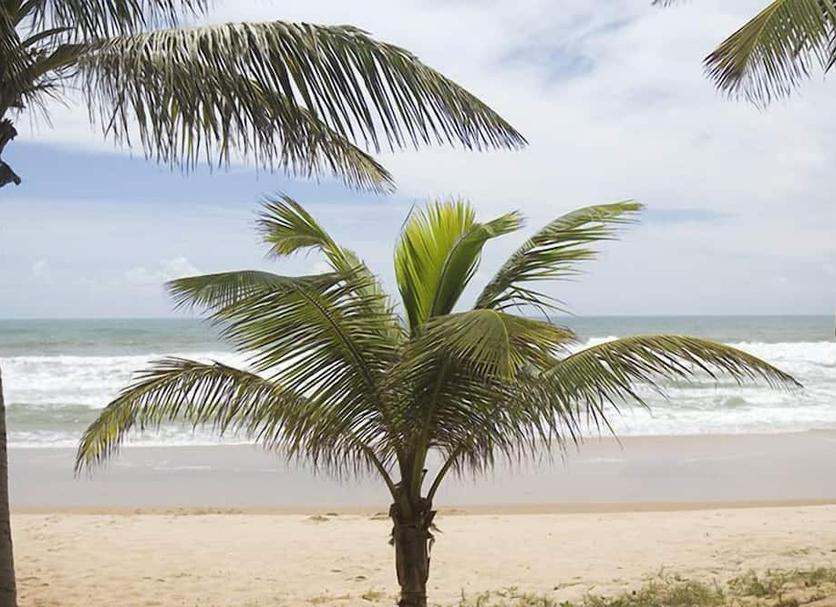 Spiaggia Foto