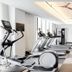 Palestra