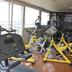 Palestra