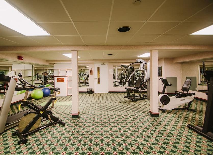 Palestra Foto