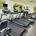 Palestra