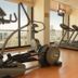 Palestra