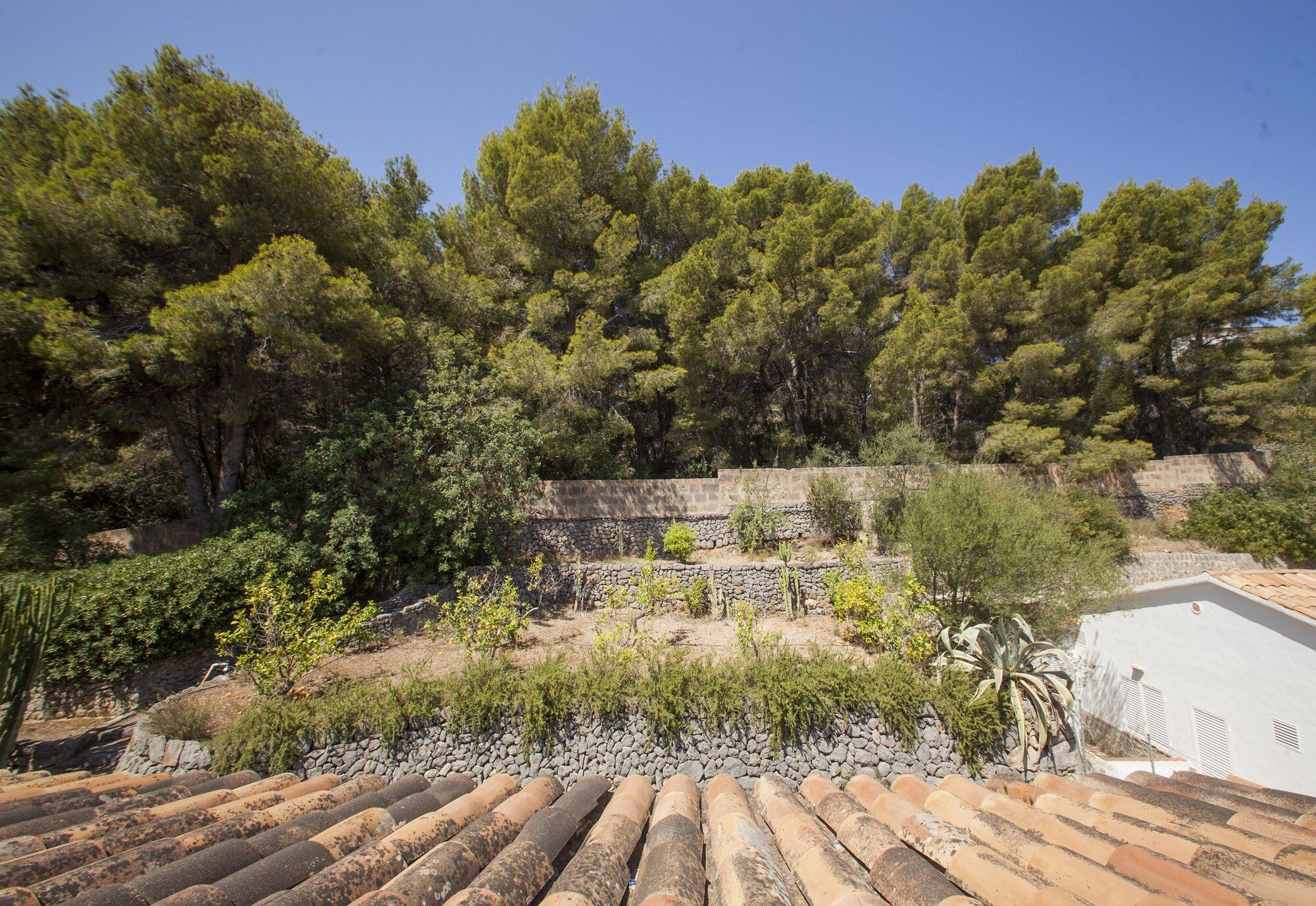 Vista esterna
