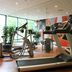 Palestra
