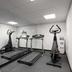 Palestra