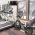 Palestra