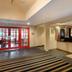 Ingresso