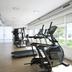 Palestra