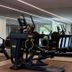 Palestra