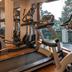 Palestra