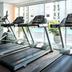 Palestra