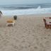 Spiaggia
