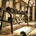 Palestra