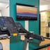 Palestra